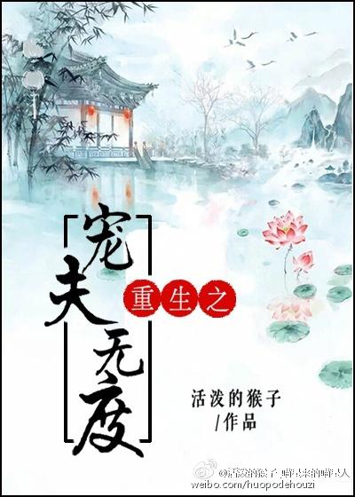 重生之宠夫记