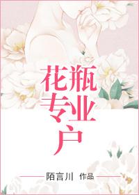 花瓶专业户完整版