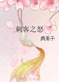 刺客之怒全文加番外txt