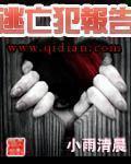 逃亡犯报告怎么不见了