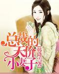 总裁的天价小妻子完整版免费阅读