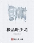 绝品邪少叶天龙去哪了