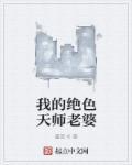 我的绝色老婆李天