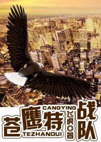 铁血战鹰队吧