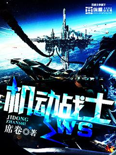 机动战士W高达