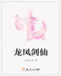 龙凤双剑剑谱