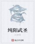 纯阳武神修炼境界