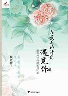 在最美的时光遇见你作者怡人