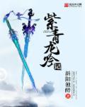 紫青龙吟记笔趣阁