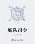 海军舰队司令