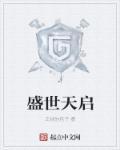 盛世天启做什么的