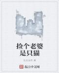 捡个老婆是只猫百度