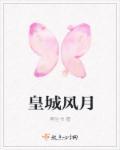 皇城风月全文免费阅读