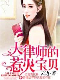 大律师的惹火宝贝女主角是谁