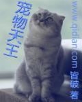 宠物天王理查德朗诵过的诗