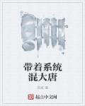 带着系统混大唐 夹板