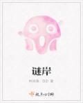 谜岸集