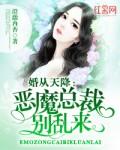 总裁大人请接招秘爱成婚
