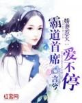 总裁别踫我