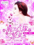 腹黑总裁很给力免费阅读顾少
