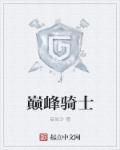 巅峰骑士团图鉴