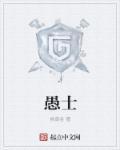 愚者英文
