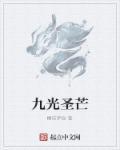 九圣光装备怎么给