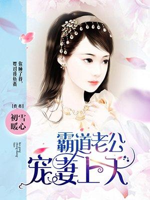霸道老公宠妻上天全文阅读