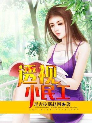透视小民工林南