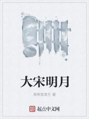 大明宋词在线观看