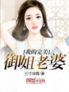 我的完美御姐老婆完整版