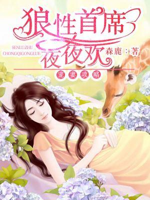 宠妻攻略狼性首席夜夜欢 聚合中文网
