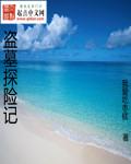 盗墓探险记作文秦始皇墓