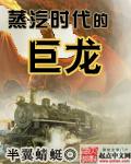 蒸汽时代叫什么