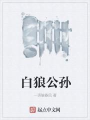 白狼公孙番外