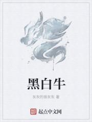 黑白牛角打一个生肖