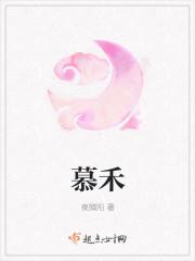 慕禾云间露营地
