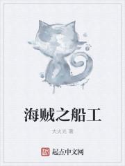 海贼之港用什么组合