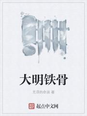 大明铁骨TXT完本