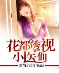 花都透视医仙沈风八零电子书