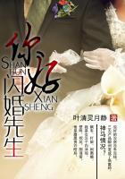 闪婚先生 聚合中文网
