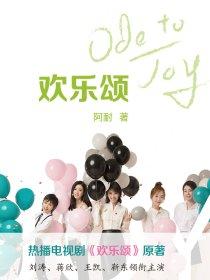 欢乐颂全三季在线阅读
