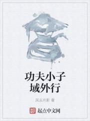 fc功夫小子