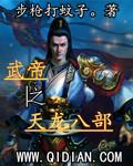 天龙八部之邪帝