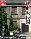 铁血大民国在线观看