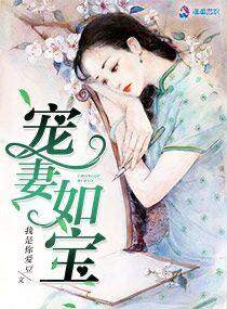 宠妻如宝浣若君君免费阅读
