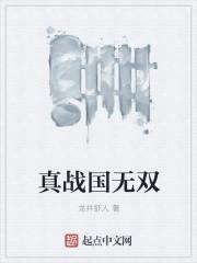 战国无双5德川家康