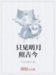 明月晚照见古今