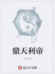 鼎利集团