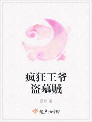 疯狂的盗墓贼在线观看
